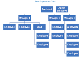 are you ready to take the organization chart challenge