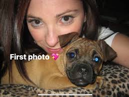 Cat diagnosed with aggressive cancer at 13 years old