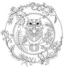 Mandala Malvorlagen Eule Coloring And Malvorlagan