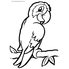 pretty parrots zoo animal coloring pages jungle coloriage anniversaire winnie ourson