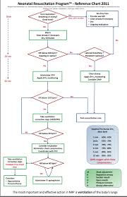 2011 Nrp Flow Chart British Columbia Respiratory Therapy