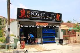 Malatya merkez petshoplar, harita ve adresleri türkiye'nin en büyük firma rehberi bulurum.com'da! Pet Shops And Aquariums In Penang