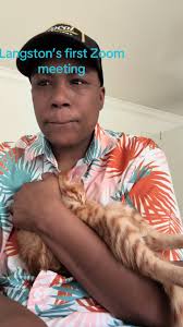 Expert Zoom Consulting with Langston the Orange Cat