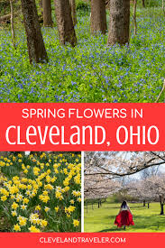 Maybe you would like to learn more about one of these? The 10 Best Places To Find Spring Flowers In Cleveland Ohio