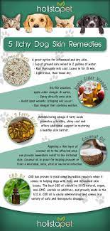 12mm+ questions answered · helped over 8mm worldwide The Best Dog Itchy Skin Home Remedy Full List Cbd For Dog Itch