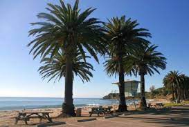 Refugio State Beach Camping Reservations Santa Barbara California Beach Camping Beach Camping California Camping