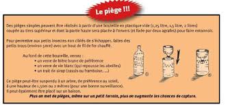 Il a donc créé un piège pour éliminer le frelon asiatique, à la fois simple et efficace. Realisez Un Piege Contre Les Frelons Asiatiques Pour Proteger Les Abeilles
