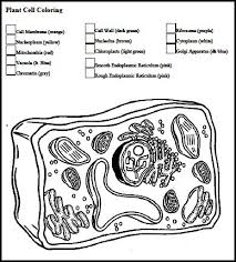 We did not find results for: Cool Plant Cell Coloring Guide Sugar And Spice