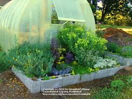 How to make a raised garden with cinder blocks. Cinder Block Raised Beds Cinder Block Raised Beds Garden Org