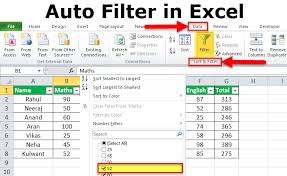Autofilter In Excel Step By Step Guide With Example