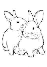 Voilà ce que ça donne quand on laisse des lapins de pâques sans surveillance : Coloriage Lapin Gratuit A Imprimer