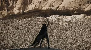 Alex Tanner exquisite slave photo