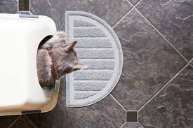Usually if the cat is straining but is still able to urinate a few drops the obstruction is partial and when there is no output at all it is complete. Male Cat Urinary Blockages Causes Symptoms Treatment