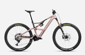 Image result for Orbea umbracula