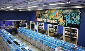 Our new, clean, and modern store showcases some of the most spectacular fish, corals, and aquarium supplies available. That Fish Place That Pet Place The Largest Pet Store You Ve Ever Seen Lancasterpa Com