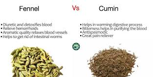 Benih tumbuhan digunakan untuk membuat ubat. Pudina Confinement Massage Jintan Manis Vs Jintan Putih Ayurvedic Herbs Berpantang Orang Melayu Juga Amat Menggalakkan Pengambilan 2 Jenis Rempah Herba Ini Nak Tahu Apa Khasiat 2 Jenis Rempah