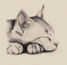 Dumbfounding Best Pencil Sketch Drawings To Practice Catdrawing Animal Art Cat Art Cat Drawing