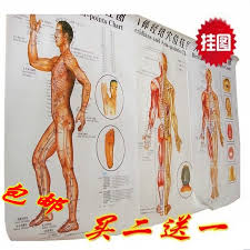 Us 25 9 Free Shipping Meridians And Acu Point Chart Chinese And English Wallmap Acupoint Full Set 10 Pcs Set Wallmap Set In Massage Relaxation