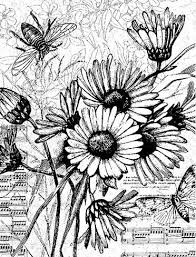 Vintage Daisy Collage Daisy Drawing Flower Collage Collage Drawing