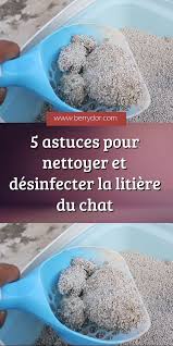Epingle Sur Chat