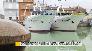 Ecco i canali test hevc main 10. Segnali Di Risveglio Per La Pesca Fanese Al Porto Arriva Il Dragut Video Occhio Alla Notizia