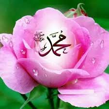 See more ideas about allah names, allah, beautiful names of allah. Muhammad Name In Flower Muhammad Flower 720x720 Wallpaper Teahub Io