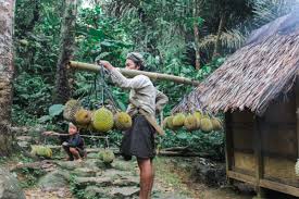 Di masyarakat baduy dalam tidak ada teknologi, kendaraan, dan alat elektronik yang mereka. Trekking Seru Ke Baduy Dalam Sambil Berinteraksi Dengan Masyarakat Setempat Mister Aladin Travel Discoveries