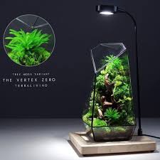 The bulb lights up your room, while also letting the plants perform life giving. Palmsabu Posts Facebook