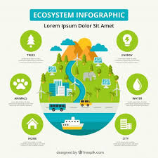 Download Ecosystem Infographics For Free Infographic Ecosystems Ecology Design