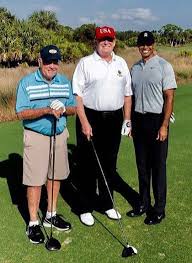 Pin On The Trumps