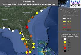 Four Storm Surges In One Storm Perspective On Irmas Wild