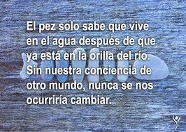 Resultado de imagen de somos fuertes dentro de la luz