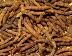 Image result for Xylopia aethiopica