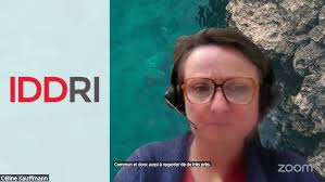 Deep Decarbonization Pathway Project. Interview of Chris Bataille (IDDRI)