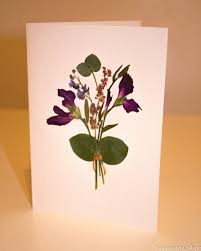 Many are used as promotional gifts by commercial companies. Unique Greeting Card A6 Handmade Ooak Pressed Flowers Dried Etsy Unique Greeting Cards Pressed Flowers Get Well Cards