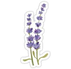 Leave It To Lavender Sticker By Geekgo In 2021 Homemade Stickers Aesthetic Stickers Printable Stickers