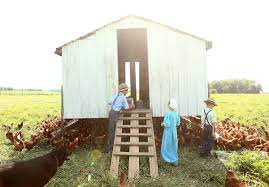 Highland homestead is a small farm located in beaver county. By God S Design Homestead Heritage A Small Farm Success Story Local News Kokomotribune Com