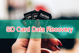 Where do deleted sd card files go? How To Recover Deleted Files From Sd Memory Card