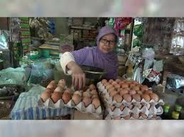 Demikianlah syair sidney hari ini yang bisa kami sajikan. Harga Telur Ayam Broiler Di Bojonegoro Melambung Beritabojonegoro Com