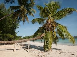 Seychely leží v indickém oceánu daleko od pevniny a tomu odpovídá i vzdálenost a čas strávený v letadle. Raj Menom Seychely Uz Za 979 Na 10 Noci Cestujakokral Sk