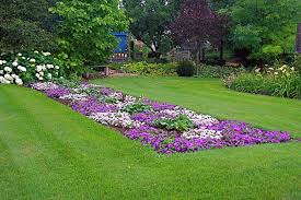 Se decidi di utilizzare delle piante da siepi fiorite, può diventare anche una bellissima decorazione colorata e profumata che rallegrerà tutto l'ambiente. Fiori Da Giardino Quali Piantare In Primavera