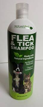 Natures Best Flea Flea And Tick Cat Fleas Cat Grooming