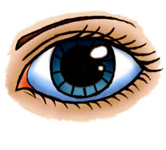Inside the iris draw the pupil tracing the shape of the iris but smaller. How To Draw A Cartoon Eye Female Feltmagnet