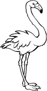 Maybe you would like to learn more about one of these? Flamingo Coloring Page From Flamingos Category Select From 24661 Printable Crafts Of Cartoons N Flamingo Coloring Page Butterfly Coloring Page Coloring Pages