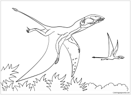 When it gets too hot to play outside, these summer printables of beaches, fish, flowers, and more will keep kids entertained. Dimorphodon Coloring Pages Dinosaurs Coloring Pages Coloring Pages For Kids And Adults
