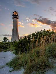 Image result for Faroa salutaris