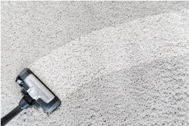 Lightly touch your carpet surface. Best Vacuum For Soft Carpet In 2020 Buying Guide Expert Review