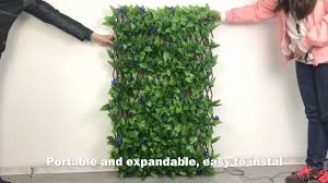 Once the roots have sprouted you can then plant it and grow a whole new plant.this is such a cost effective. Artificial Ivy Trellis Wall With Led From Sunwing Youtube