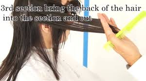 Layered haircuts for medium hair. How To Cut Hair Long Layer Haircut With Bangs Right Side 3 Layers Tapering Tutorial By Mogi Youtube