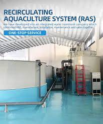 Aquaculture Indoor Ras Fish Farming Equipment For Sale Large Industrial Recirculating Fish Farm Aquaculture Ras System Buy Industiral Recirculating Aquaculture System Large Recirculating Aquaculture System Fish Farm Ras Product On Alibaba Com